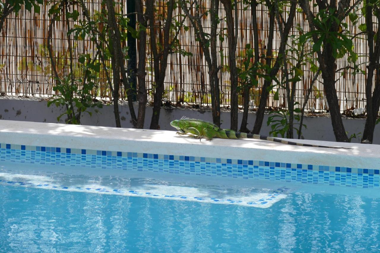 Fontein Villa De Mango מראה חיצוני תמונה