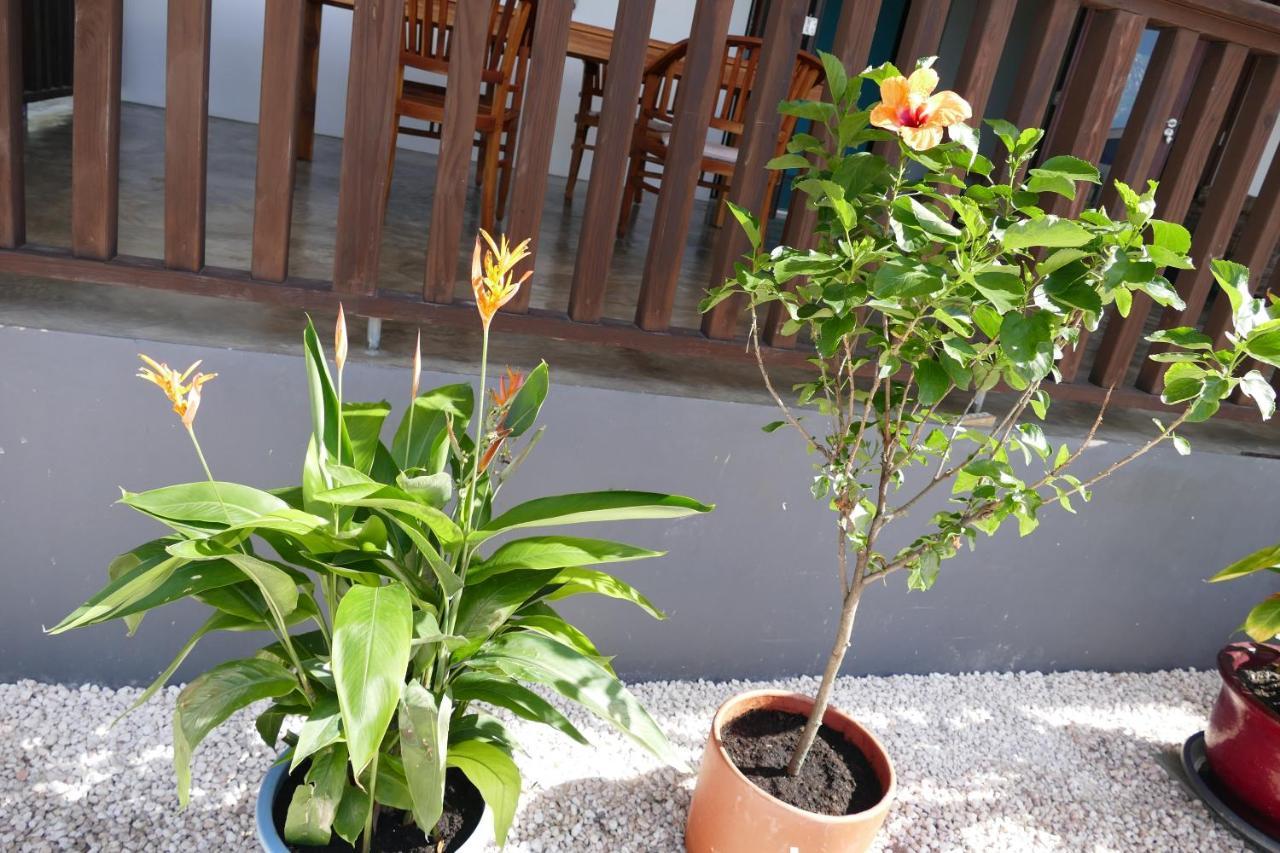 Fontein Villa De Mango מראה חיצוני תמונה