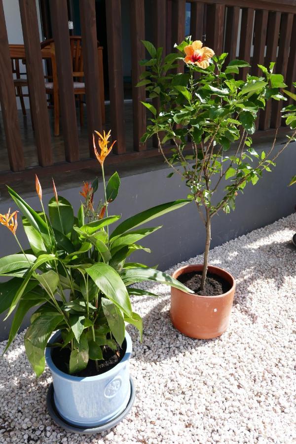 Fontein Villa De Mango מראה חיצוני תמונה